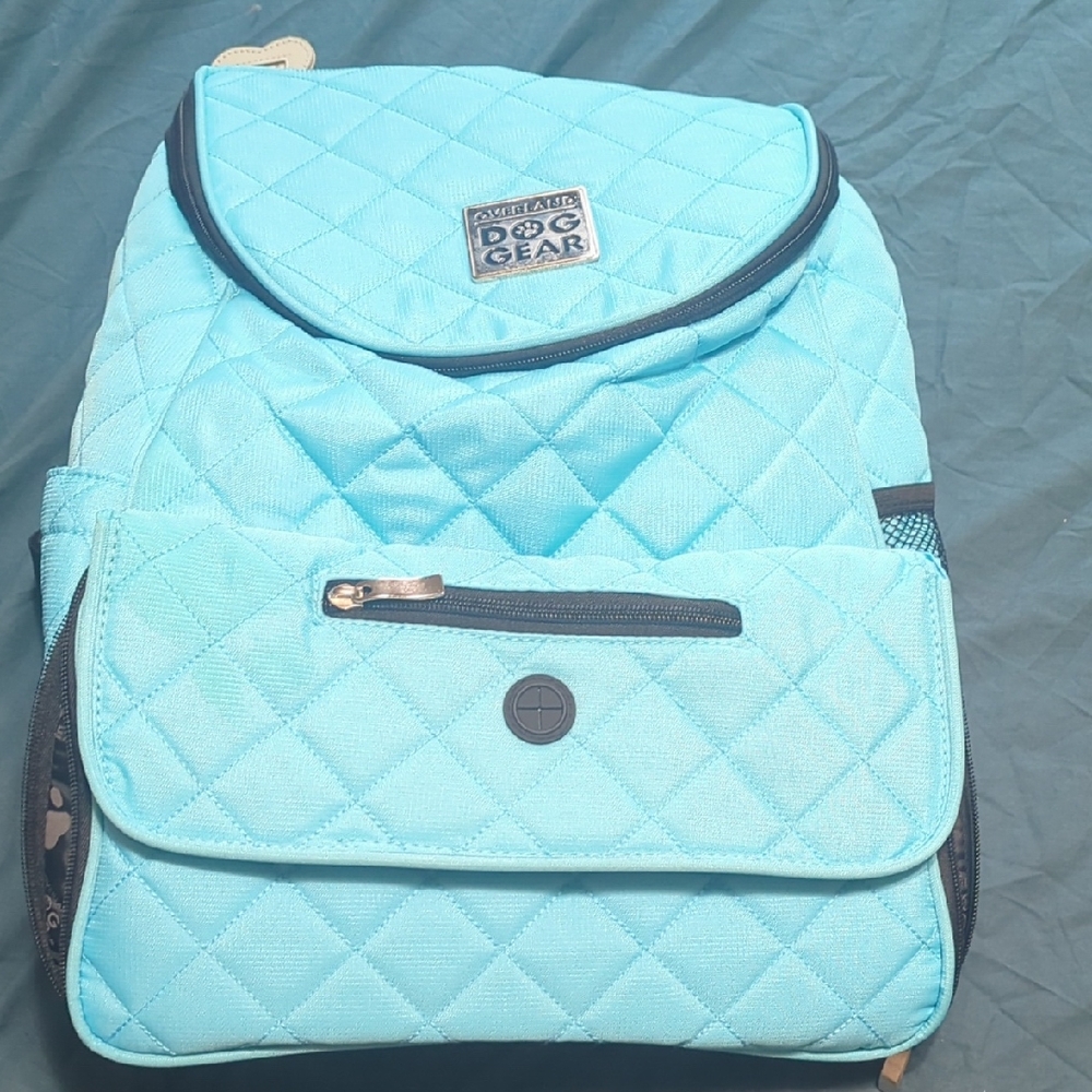 Aqua Quilted Backpack
